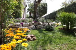 Giardino fiorito