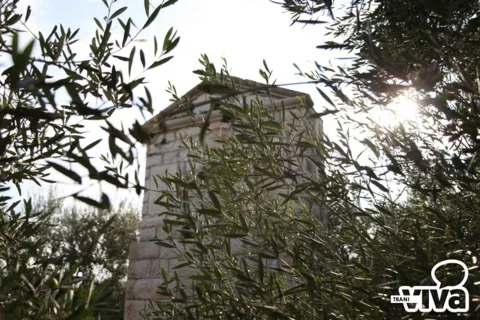 Il monumento seminascosto dai rami di ulivo, con il sole che filtra fra le foglie