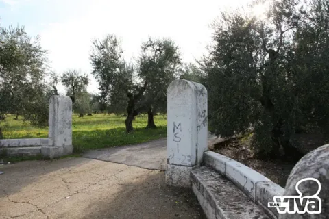 Due pilastri in pietra all’imbocco di un viale fra gli ulivi; quello a destra porta scritte a spray