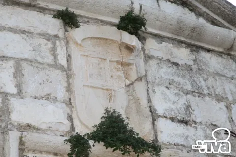Uno stemma scolpito in pietra, spaccato da una crepa, con ciuffi di piante cresciuti attorno