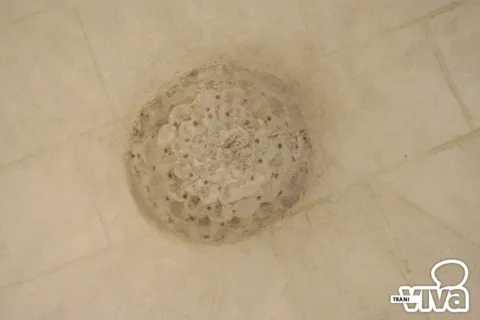 Chiave di volta circolare scolpita a rilievo al centro di una volta in pietra