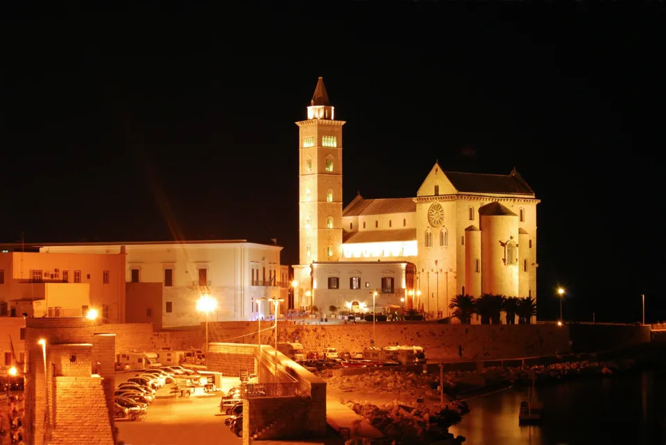 Cattedrale di Trani di notte