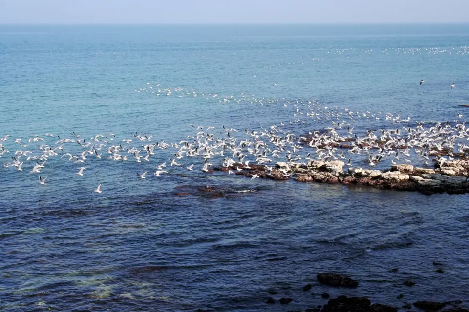 Il mare e la tradizione marinara di Trani