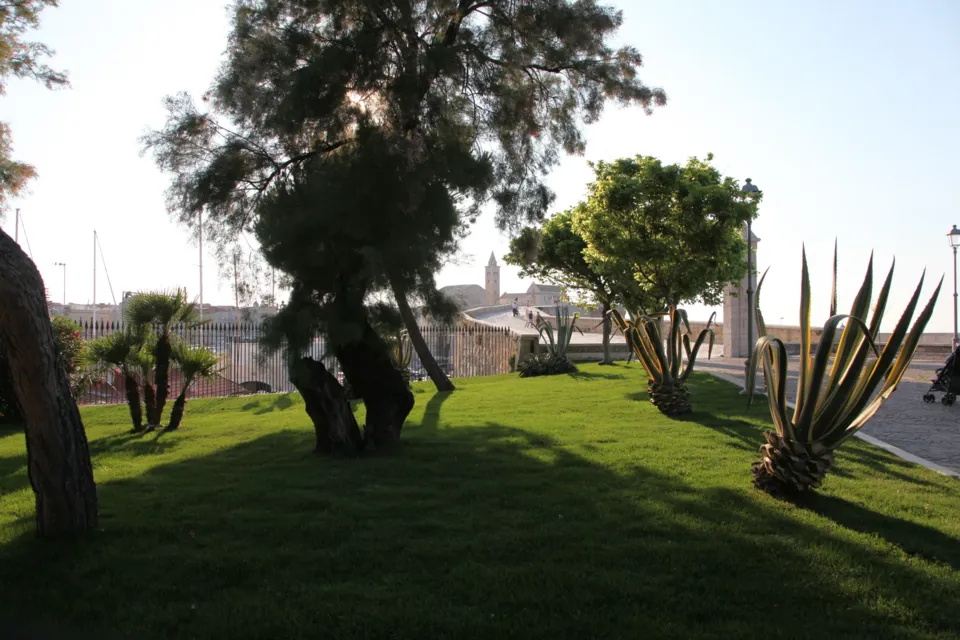 Un giardino con prato verde, alberi e un'agave in controluce; sullo sfondo, oltre il porto, si intravede il campanile della Cattedrale