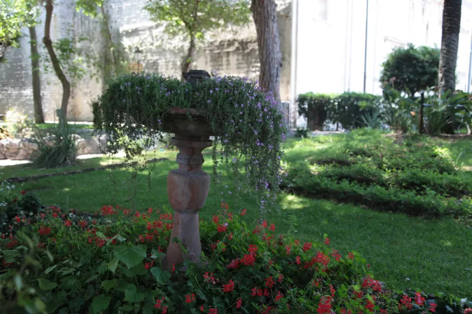 Giardino
