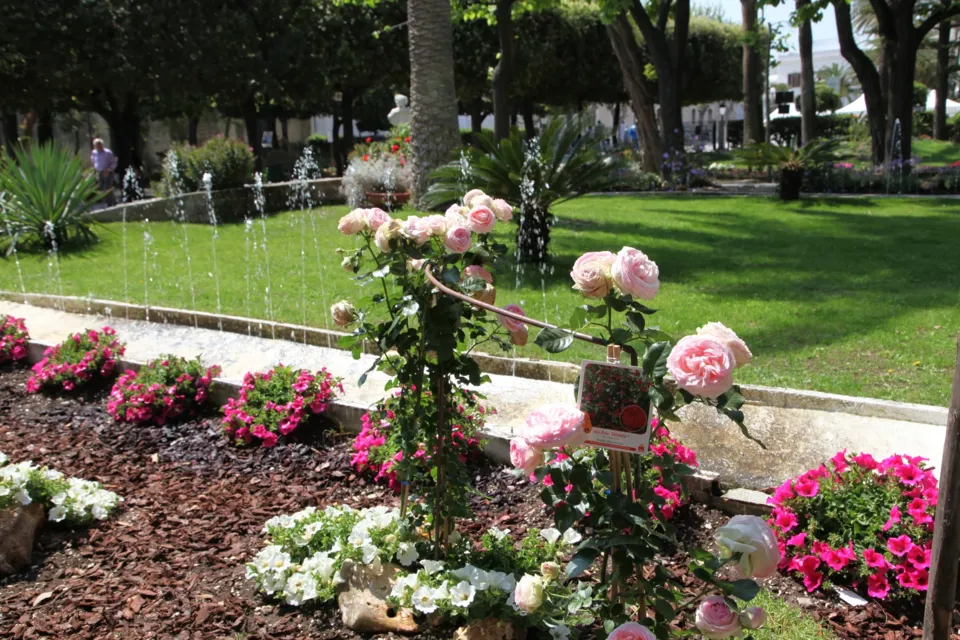 Giardino fiorito
