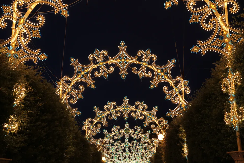 Arcate di luminarie dorate accese di notte su un viale alberato, allestite per la festa patronale