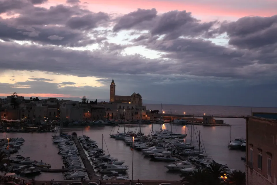 Veduta dall'alto del porto con i pontili e le barche ormeggiate; sullo sfondo il centro storico e la Cattedrale sotto nuvole rosate al tramonto